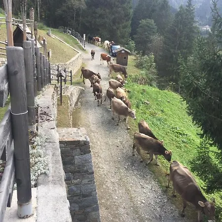 Horská chata Chalet Bedolina *